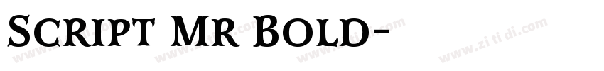Script Mr Bold字体转换